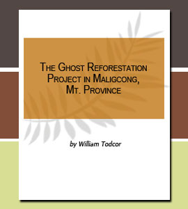 The-Ghost-Reforestation-Project-in-Maligcong